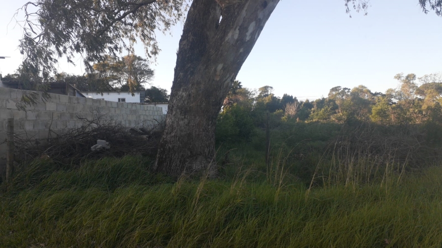 0 Bedroom Property for Sale in Greenbushes Eastern Cape